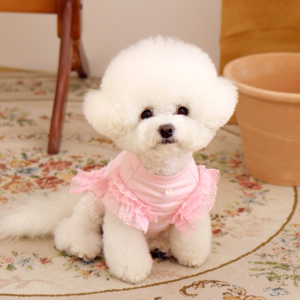겟백 강아지 티셔츠 - 겟힛 핑크  (애견 겨울 옷)