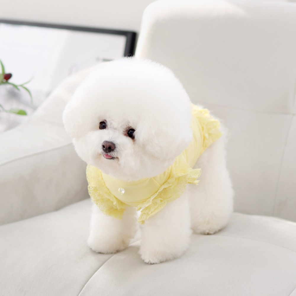겟힛 민소매 옐로우 (겟백 강아지 티셔츠 애견옷)