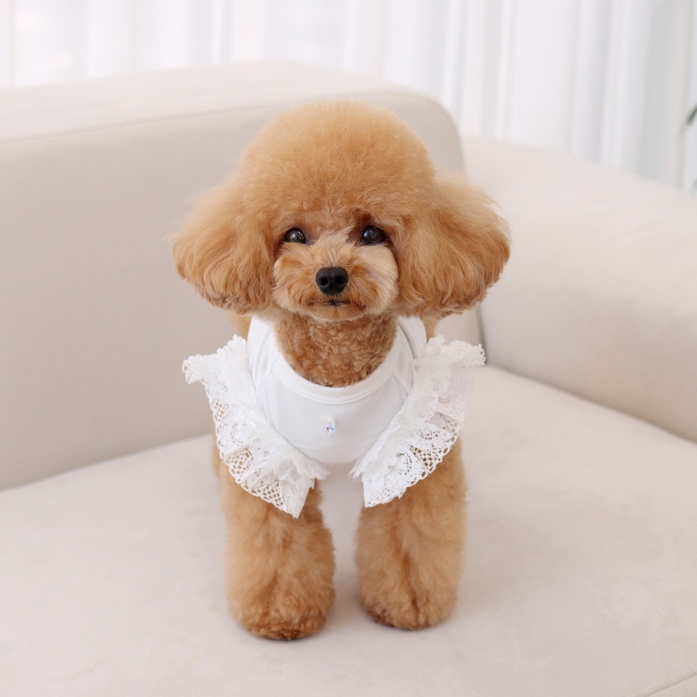 겟힛 민소매 화이트 (겟백 강아지 티셔츠 애견옷)