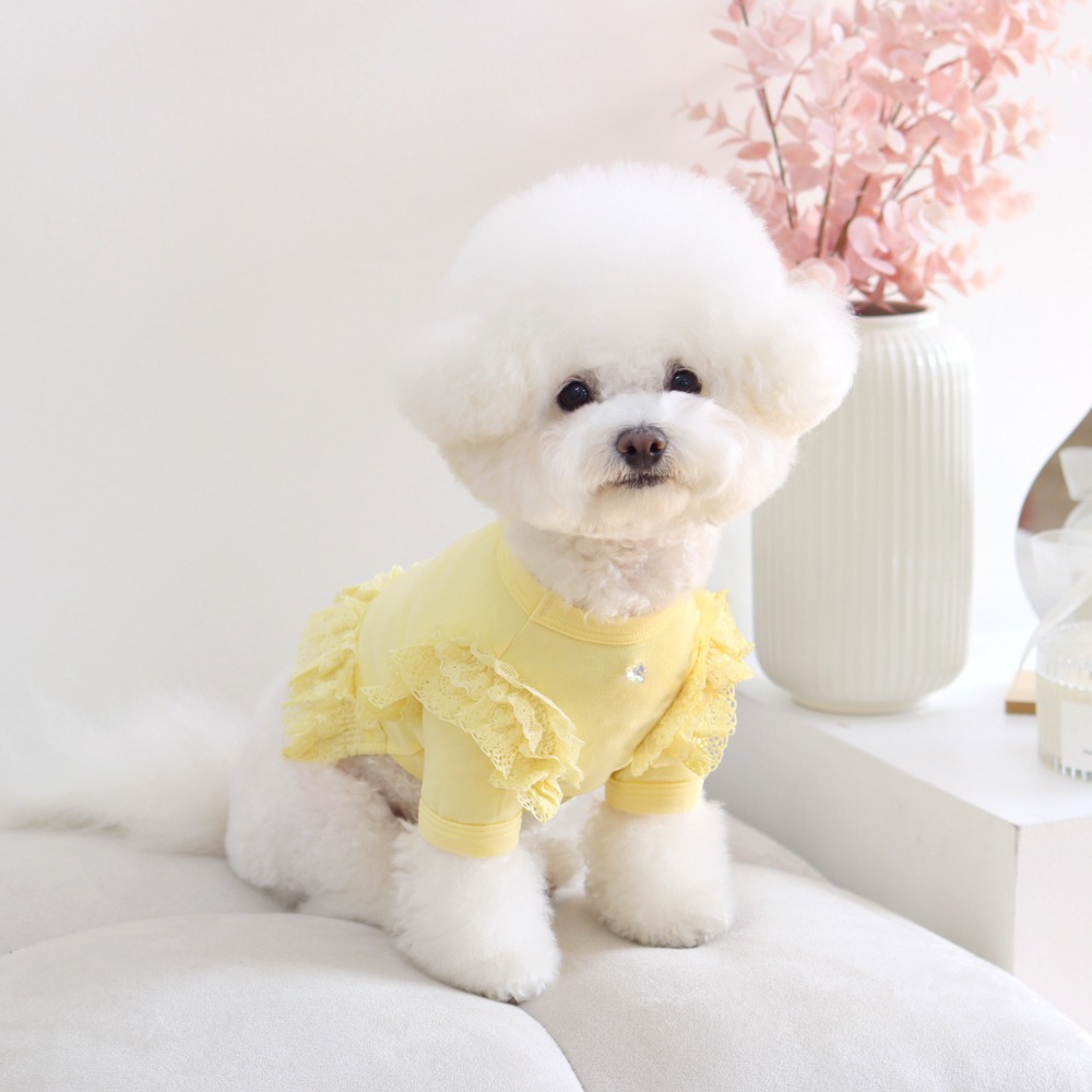 겟힛 크롭티 - 옐로우 (겟백 강아지 티셔츠 애견옷)