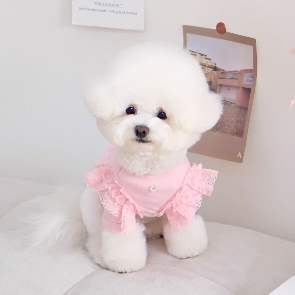 겟힛 크롭티 - 핑크 (겟백 강아지 티셔츠 애견옷)