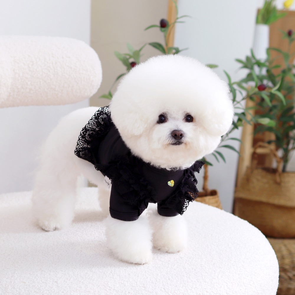 겟힛 크롭티 - 블랙 (겟백 강아지 티셔츠 애견옷)